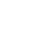Bungie