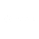 Mogul